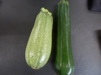 さいたまヨーロッパ野菜ズッキーニ