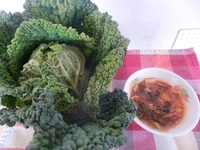 さいたまヨーロッパ野菜～サボイキャベツ～ミネストローネ