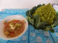 さいたまヨーロッパ野菜のロマネスコが入ったカルド・ガジェーゴ