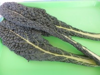 さいたまヨーロッパ野菜～カーボロ・ネロ～